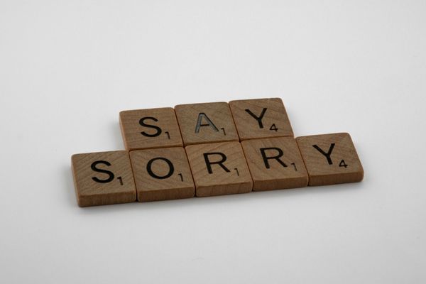 Apologize